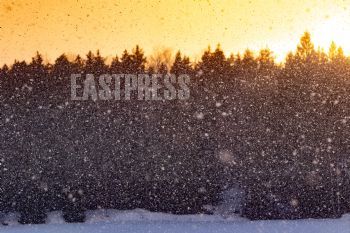 EA347960, Eastpress, Porvoo, Finland